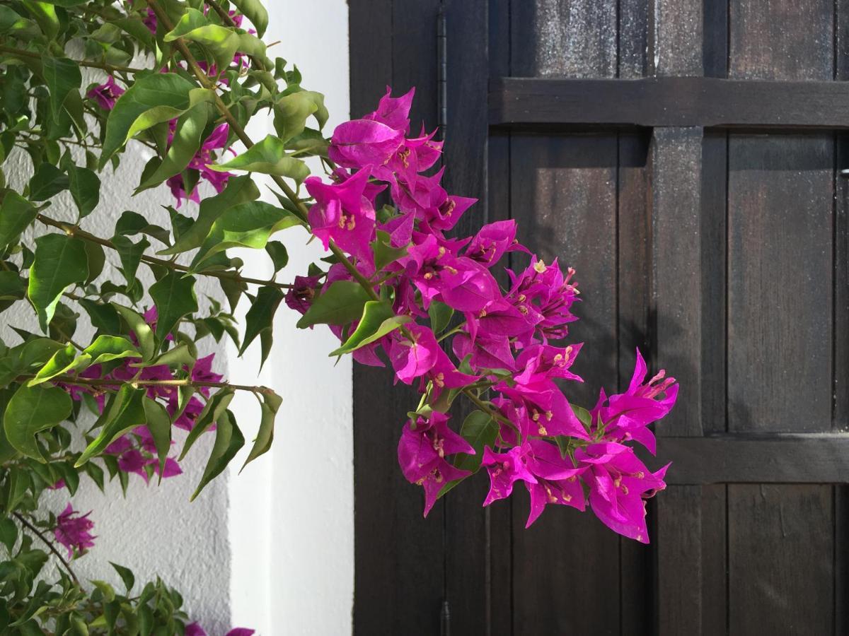 Villa De La Luz Luxury Guesthouse El Portil Exteriér fotografie